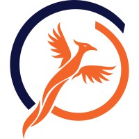 Coding Phoenix logo, Coding Phoenix contact details