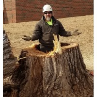 Eshleman Tree Care LLC logo, Eshleman Tree Care LLC contact details