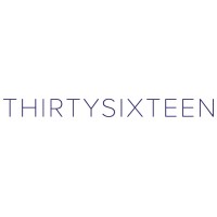 ThirtySixteen Group logo, ThirtySixteen Group contact details