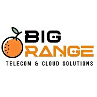 Big Orange Technology LLC logo, Big Orange Technology LLC contact details