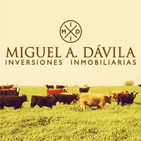 Miguel A. Dávila logo, Miguel A. Dávila contact details