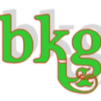 Baltistan Karobar Group logo, Baltistan Karobar Group contact details