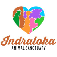 INDRALOKA ANIMAL SANCTUARY logo, INDRALOKA ANIMAL SANCTUARY contact details