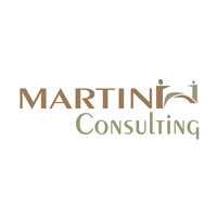 Martini Consulting Ltda logo, Martini Consulting Ltda contact details