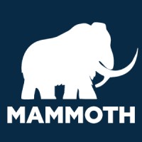 Mammoth Hydro Technologies logo, Mammoth Hydro Technologies contact details