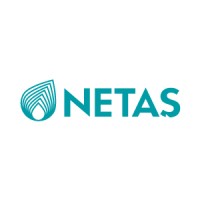 NETAŞ logo, NETAŞ contact details