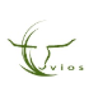 Vios Asset Management logo, Vios Asset Management contact details