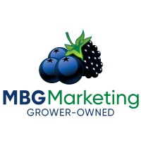 MBG Marketing logo, MBG Marketing contact details