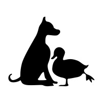 DOG AND A DUCK logo, DOG AND A DUCK contact details