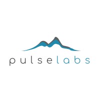 PulseLabs logo, PulseLabs contact details