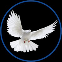 White Dove Release Colorado logo, White Dove Release Colorado contact details