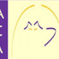 Abbey Cat Adoptions logo, Abbey Cat Adoptions contact details