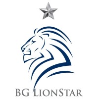 BG LionStar Group, LLC logo, BG LionStar Group, LLC contact details