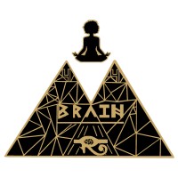 BRAIN44 LLC logo, BRAIN44 LLC contact details