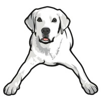 Tucker Pups Pet Resort logo, Tucker Pups Pet Resort contact details