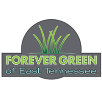 Forever Green of East Tennessee logo, Forever Green of East Tennessee contact details