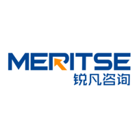 Meritse Management Consulting logo, Meritse Management Consulting contact details