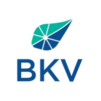 BKV Corporation logo, BKV Corporation contact details