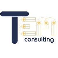 TEM Consulting logo, TEM Consulting contact details