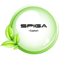 Spiga Capital Group logo, Spiga Capital Group contact details