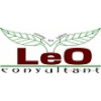 Leo Consultant logo, Leo Consultant contact details