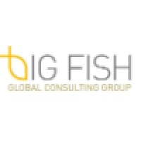 Big Fish Global Consulting Group logo, Big Fish Global Consulting Group contact details