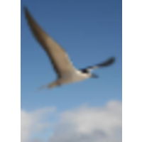 Seabird Enterprises logo, Seabird Enterprises contact details