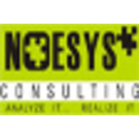 Noesys Consulting logo, Noesys Consulting contact details