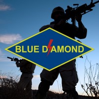 Blue Diamond Consulting, LLC logo, Blue Diamond Consulting, LLC contact details