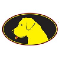 YELLOW DAWG STRIPING logo, YELLOW DAWG STRIPING contact details