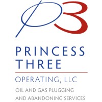 Princess Three Operating logo, Princess Three Operating contact details