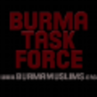 Burma Task Force USA logo, Burma Task Force USA contact details