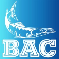 Burlingame Aquatic Club logo, Burlingame Aquatic Club contact details