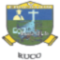 Ruaha University College logo, Ruaha University College contact details