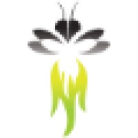 Firefly Marketing logo, Firefly Marketing contact details