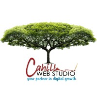 Cahill Web Studio logo, Cahill Web Studio contact details