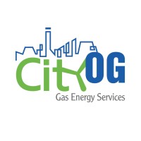 City-OG Gas Energy Services Pte Ltd logo, City-OG Gas Energy Services Pte Ltd contact details