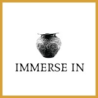 Immerse In LLC logo, Immerse In LLC contact details