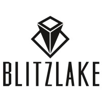 BlitzLake Partners logo, BlitzLake Partners contact details