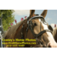 Conley's Horse Photos logo, Conley's Horse Photos contact details