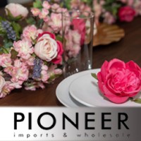 Pioneer Imports & Wholesale logo, Pioneer Imports & Wholesale contact details