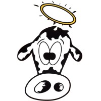 The Holy Cow Canoe Company logo, The Holy Cow Canoe Company contact details