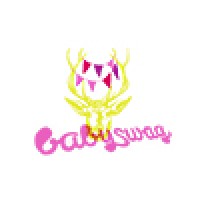 BabySwag logo, BabySwag contact details