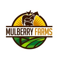 Mulberry Farms logo, Mulberry Farms contact details