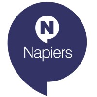 Napiers Financial Services logo, Napiers Financial Services contact details