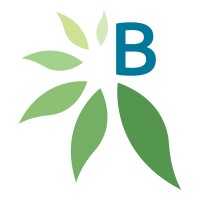 BrightLeaf Cannabis logo, BrightLeaf Cannabis contact details