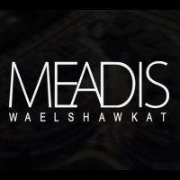 Meadis logo, Meadis contact details