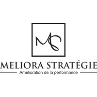 Meliora stratÃ©gie logo, Meliora stratÃ©gie contact details