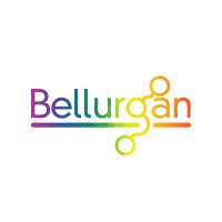 Bellurgan Precision Engineering logo, Bellurgan Precision Engineering contact details