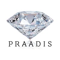 PRAADIS Luxury Division Inc. logo, PRAADIS Luxury Division Inc. contact details